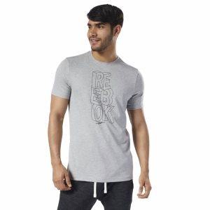 Reebok Graphic Series 1895 T Shirt Herren - Grau - DE 704-JBN